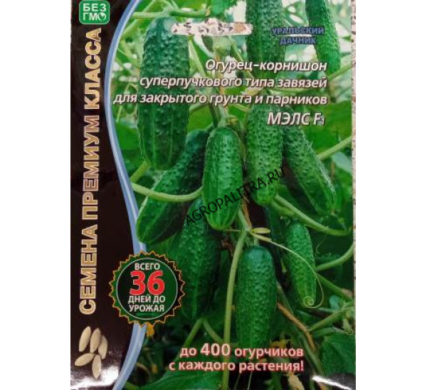 Огурец-корнишон Мэлс F1 (Cucumis sativus), 5 шт